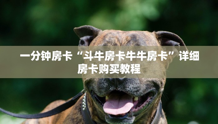 一分钟房卡“人海大厅怎么买房卡”详细房卡购买教程 一分钟房卡“人海大厅怎么买房卡”详细房卡购买教程